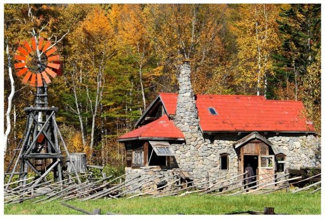 北海道産 富良野メロン