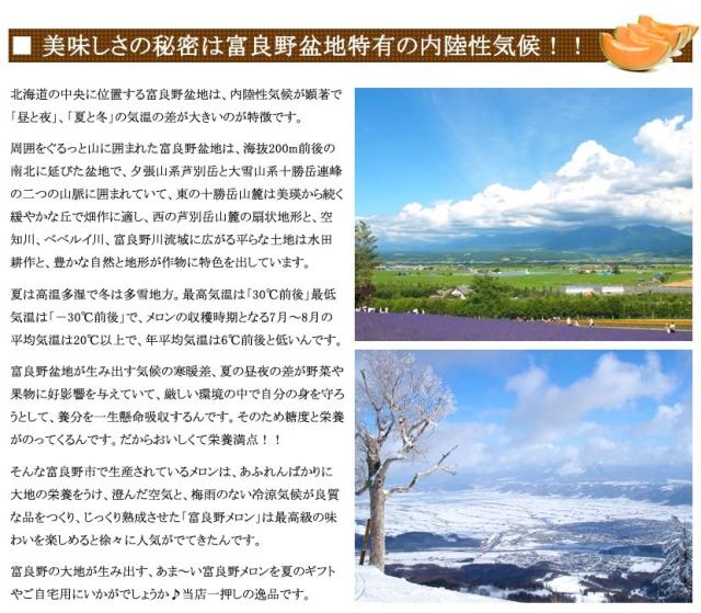 北海道産 富良野メロン