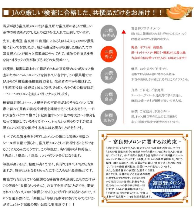 北海道産 富良野メロン