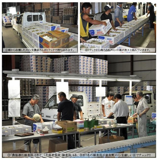 北海道産 富良野メロン