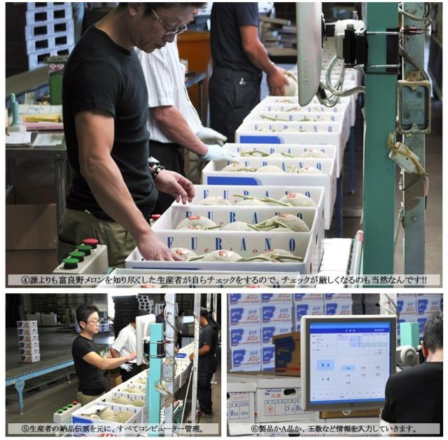 北海道産 富良野メロン