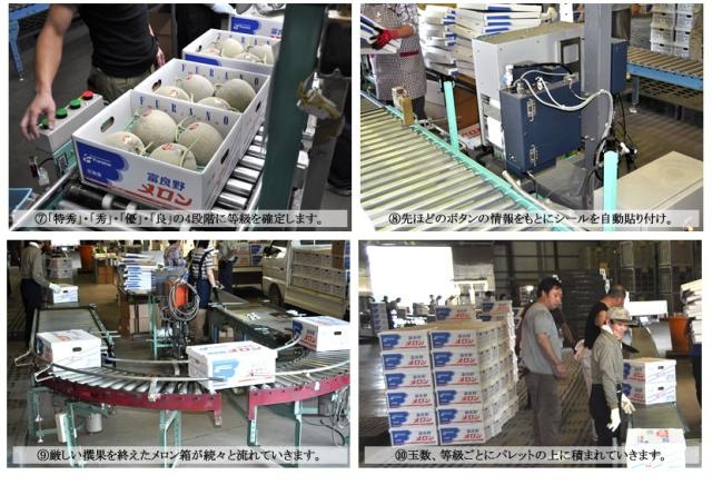 北海道産 富良野メロン