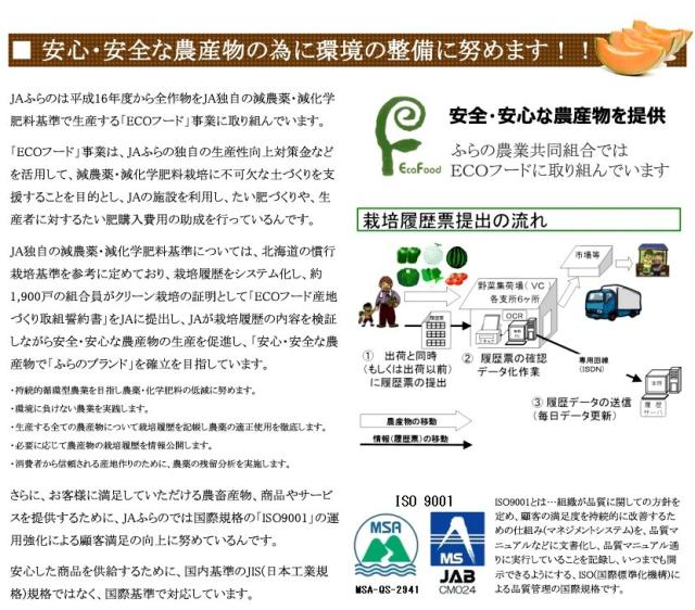 北海道産 富良野メロン