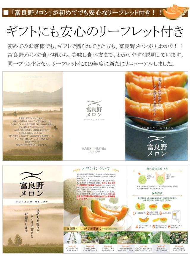 北海道産 富良野メロン