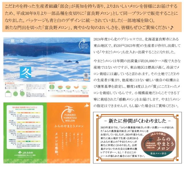 北海道産 富良野メロン