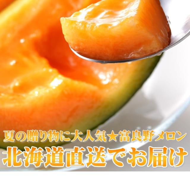 北海道産 富良野メロン