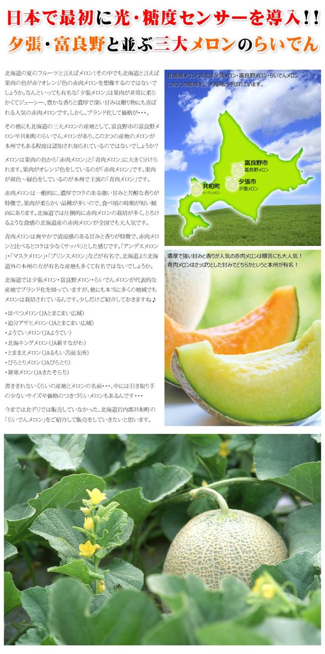 北海道産 らいでんメロン