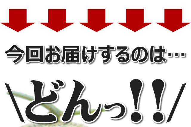 ご家庭用 富良野メロン