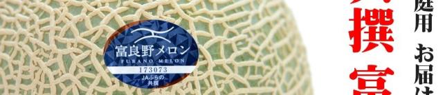 ご家庭用 富良野メロン