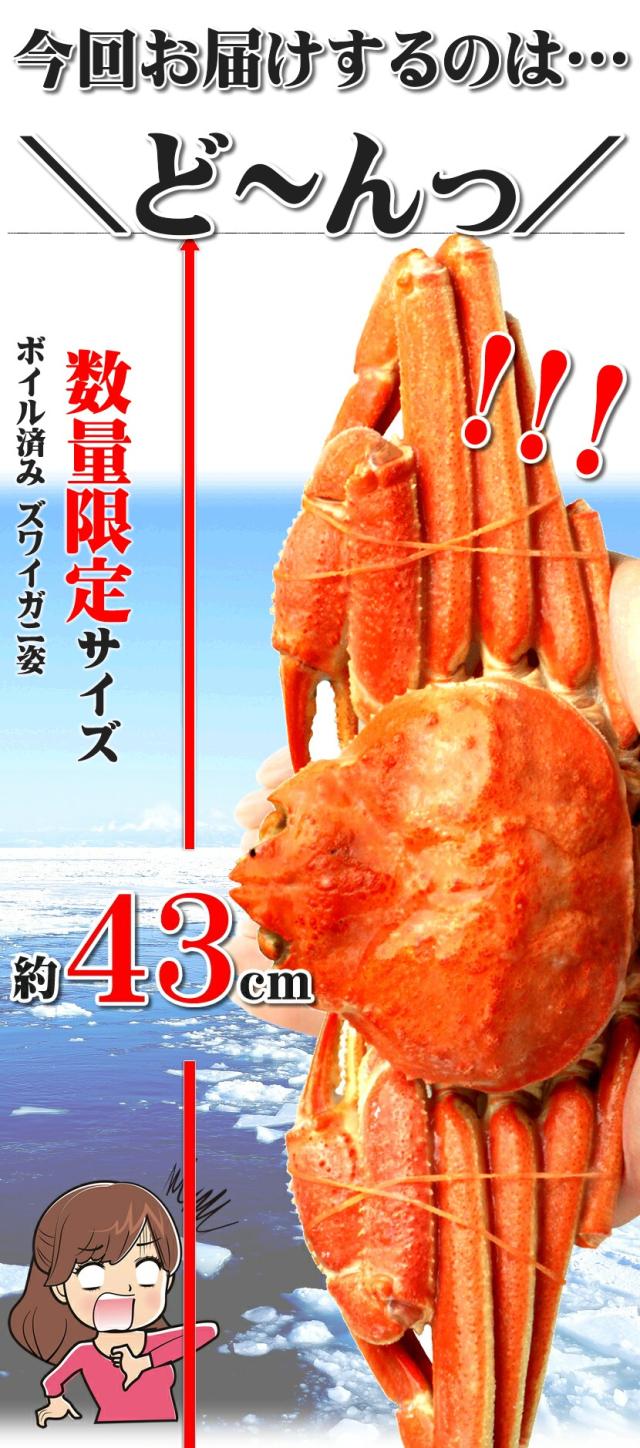 ズワイガニ 1100g