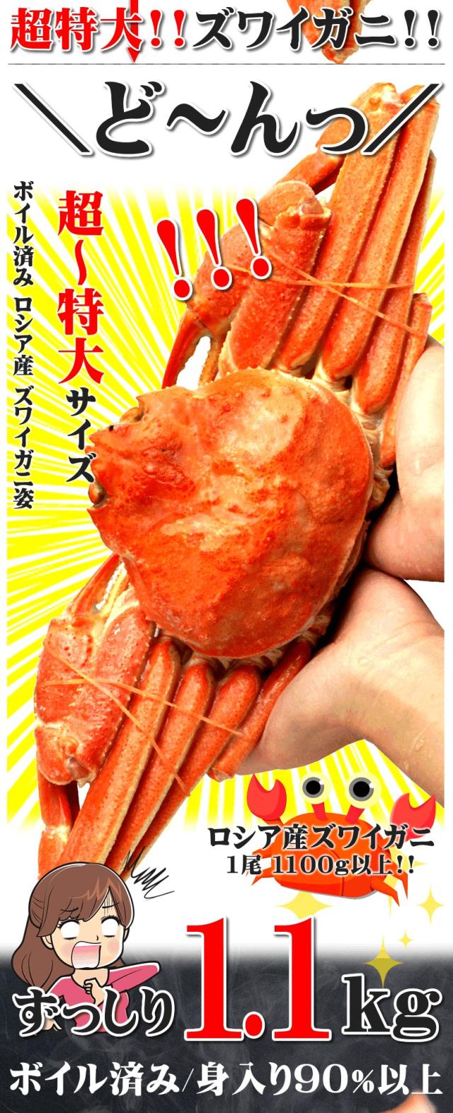 ズワイガニ 1100g