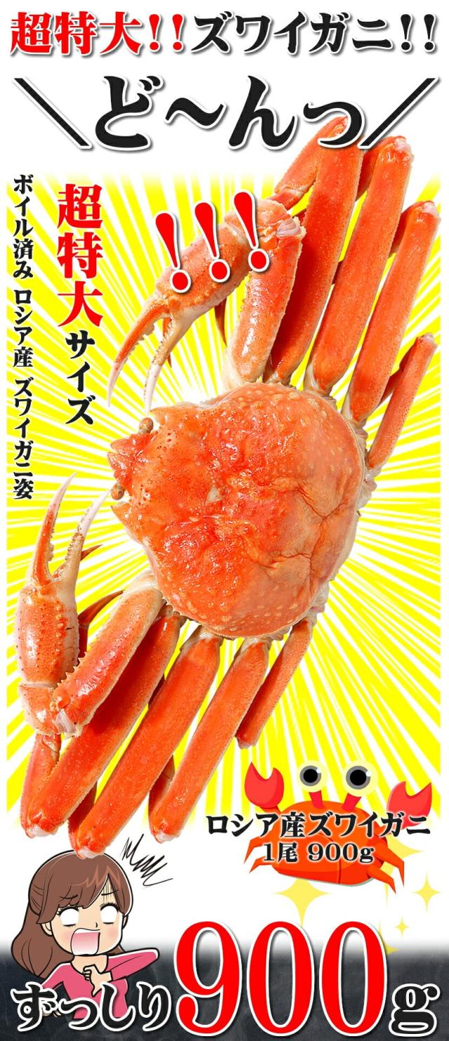 カナダ産 ズワイガニ
