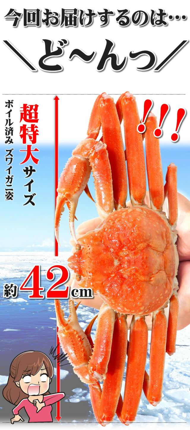 ズワイガニ 950g