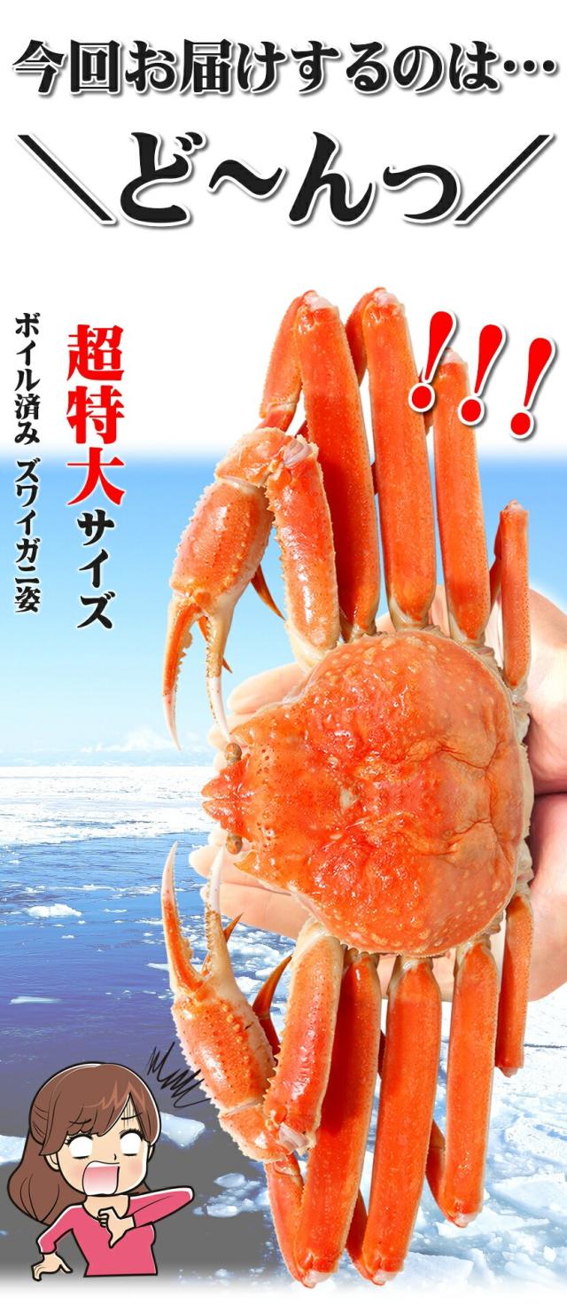 カナダ産 ズワイガニ