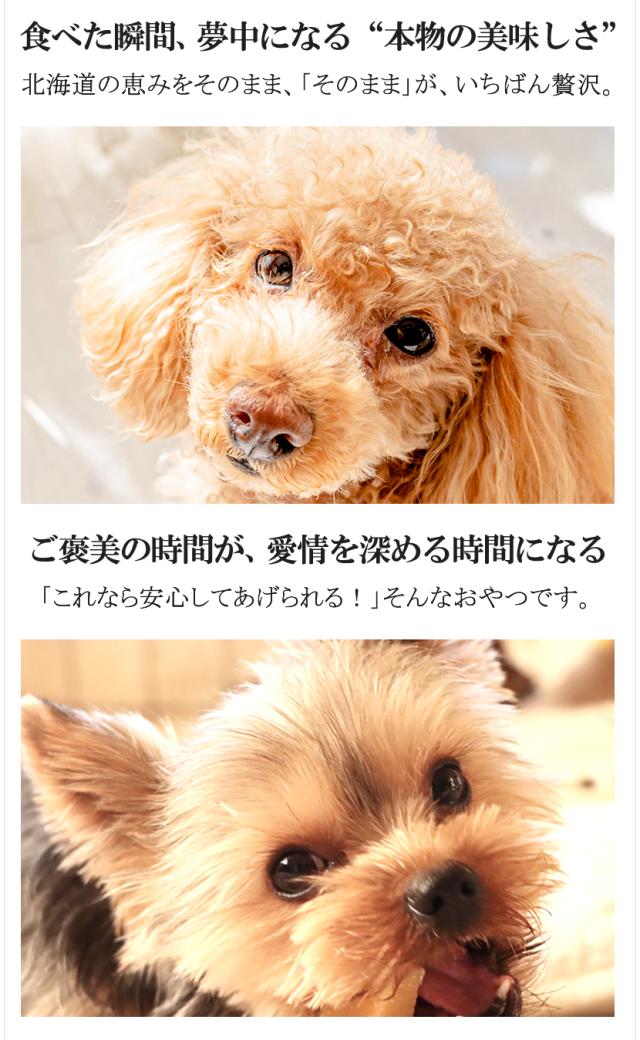 北海道産 素のまま