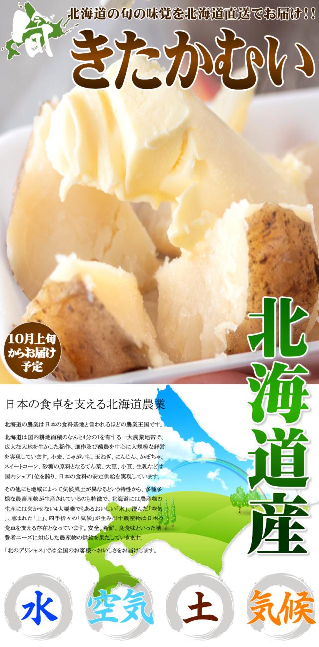 北海道産 じゃがいも きたかむい