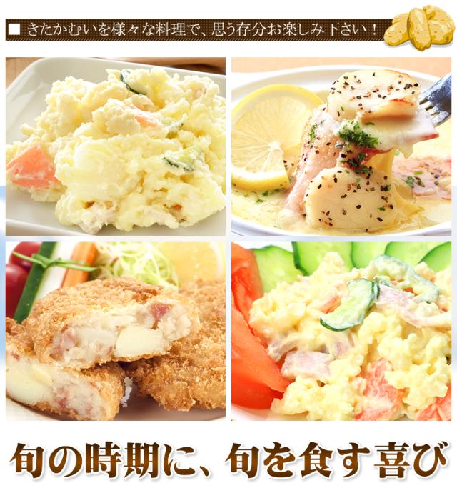 北海道産 じゃがいも きたかむい