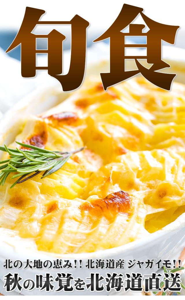 北海道産 じゃがいも きたかむい