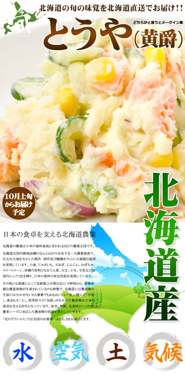 北海道産 じゃがいも とうや