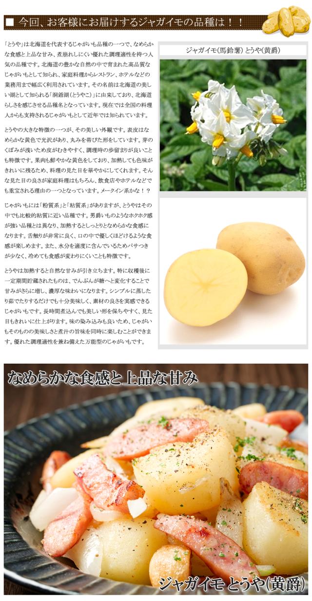 北海道産 じゃがいも とうや