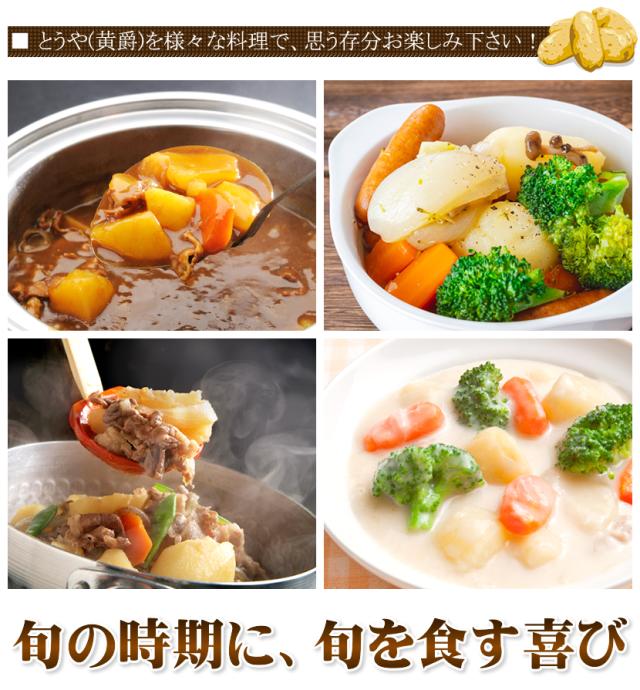 北海道産 じゃがいも とうや
