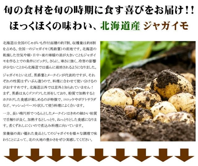 北海道産 じゃがいも とうや