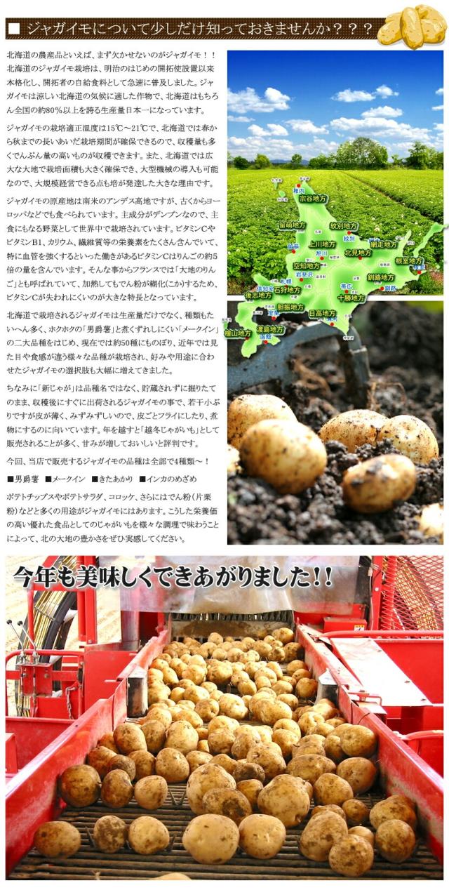 北海道産 じゃがいも とうや