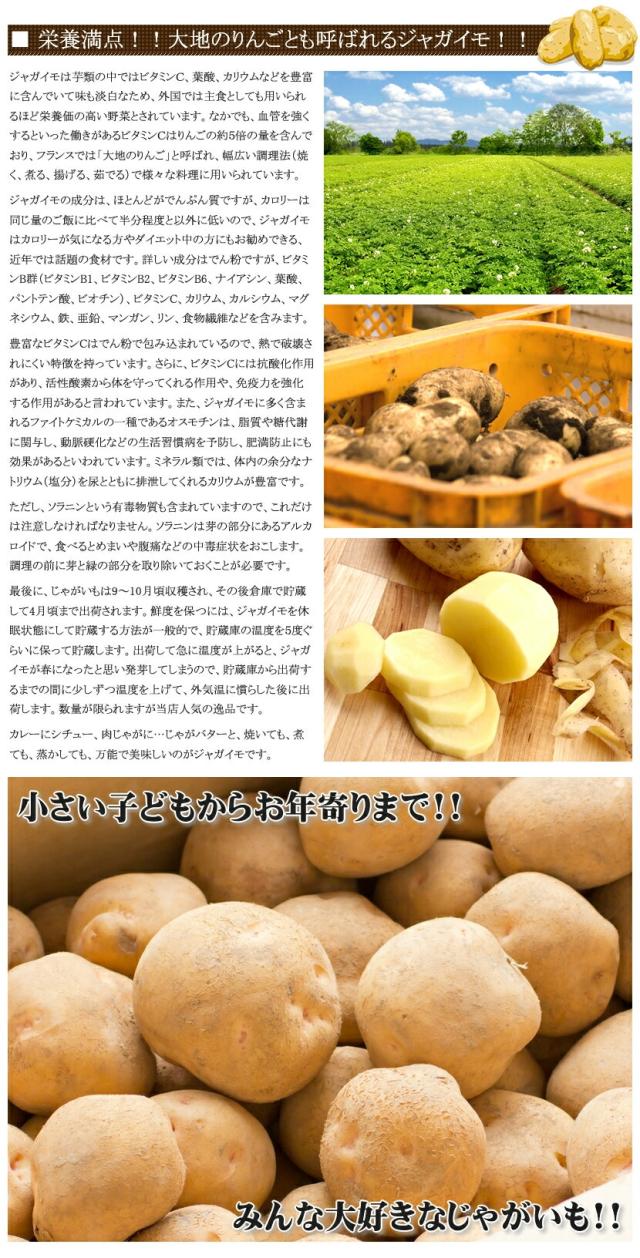 北海道産 じゃがいも とうや