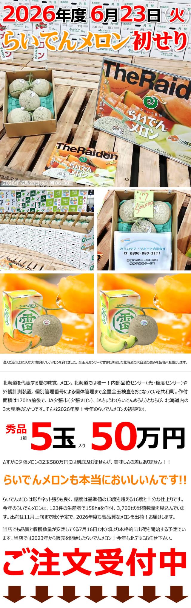 富良野メロン 2026 初競り