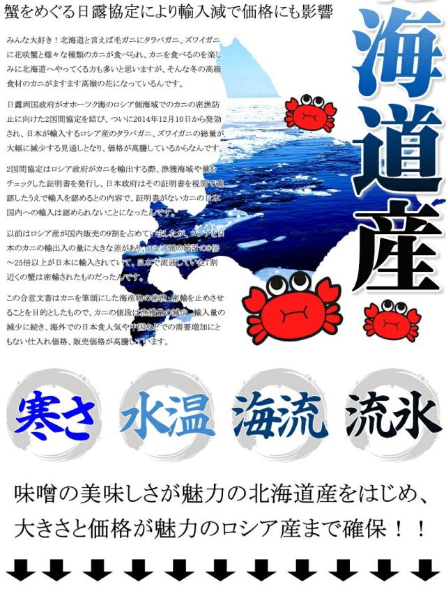 北海道産 毛ガニ