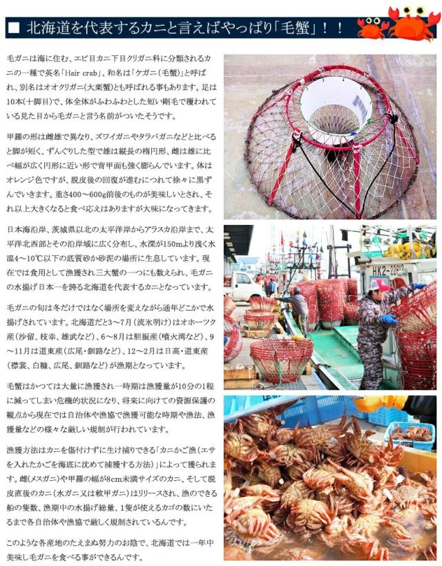 北海道産 毛ガニ