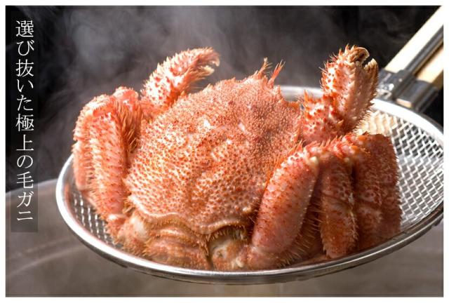 北海道産 毛ガニ