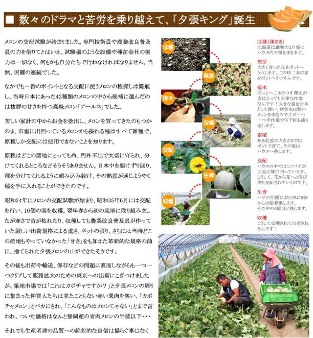 夕張メロン