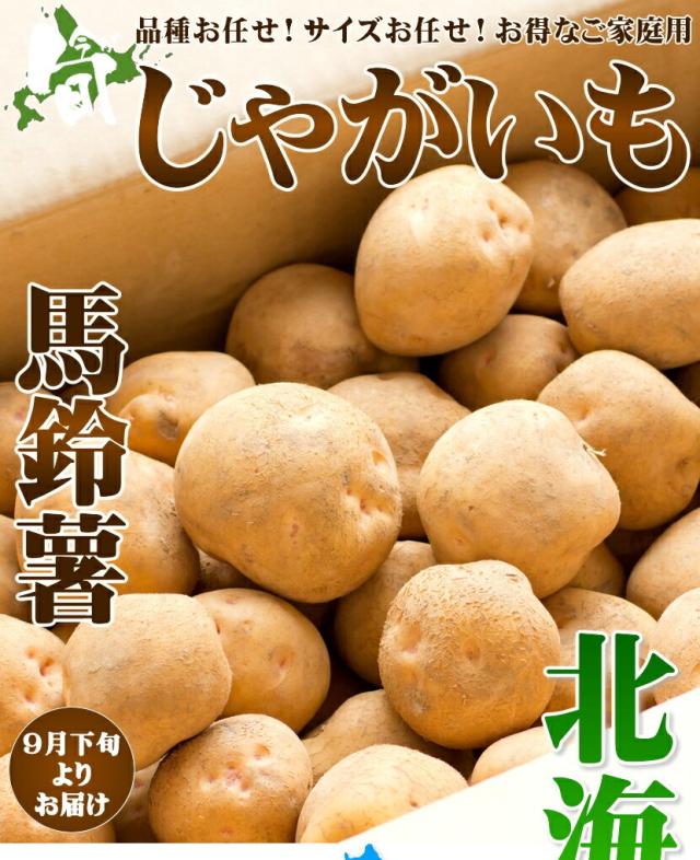 北海道産 訳あり ご家庭用 じゃがいも