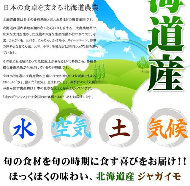 北海道産 訳あり ご家庭用 じゃがいも