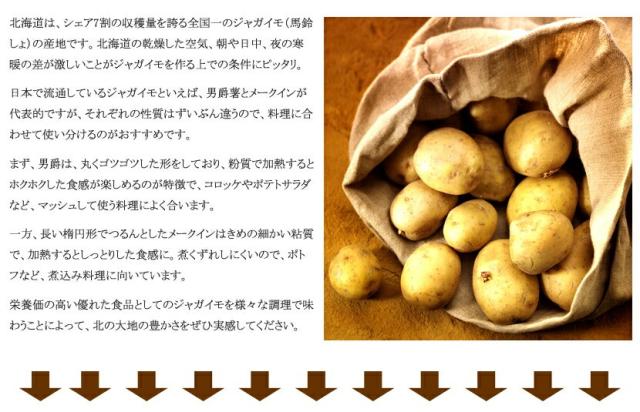 北海道産 訳あり ご家庭用 じゃがいも