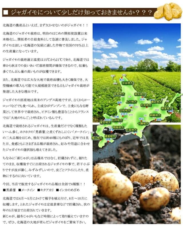 北海道産 訳あり ご家庭用 じゃがいも