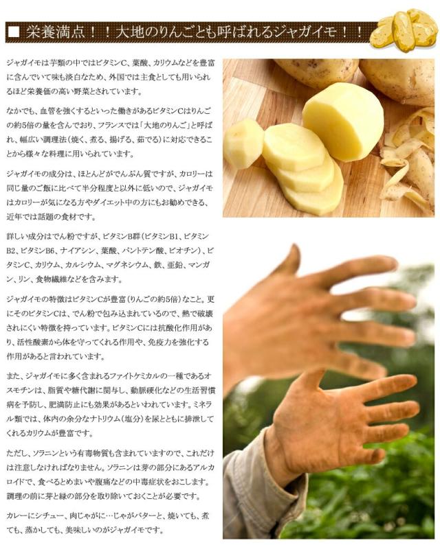 北海道産 訳あり ご家庭用 じゃがいも