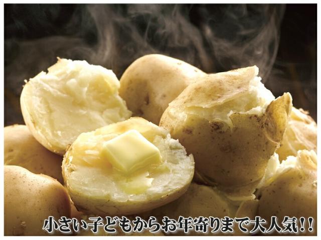 北海道産 訳あり ご家庭用 じゃがいも