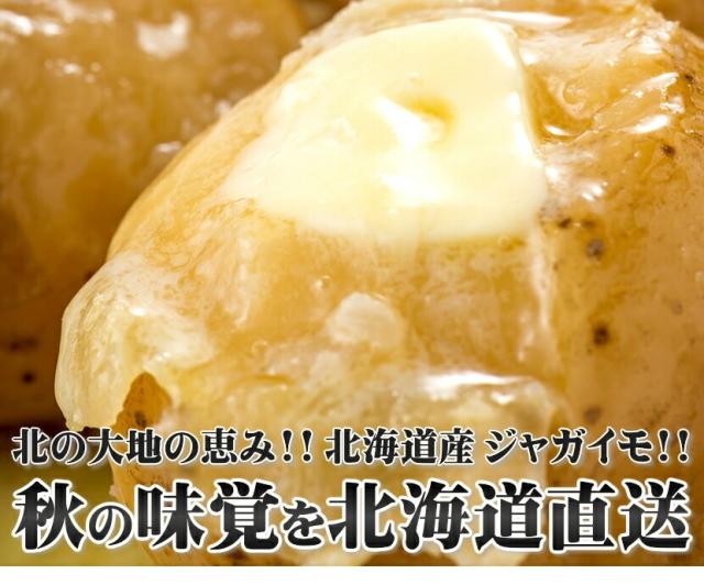 北海道産 訳あり ご家庭用 じゃがいも