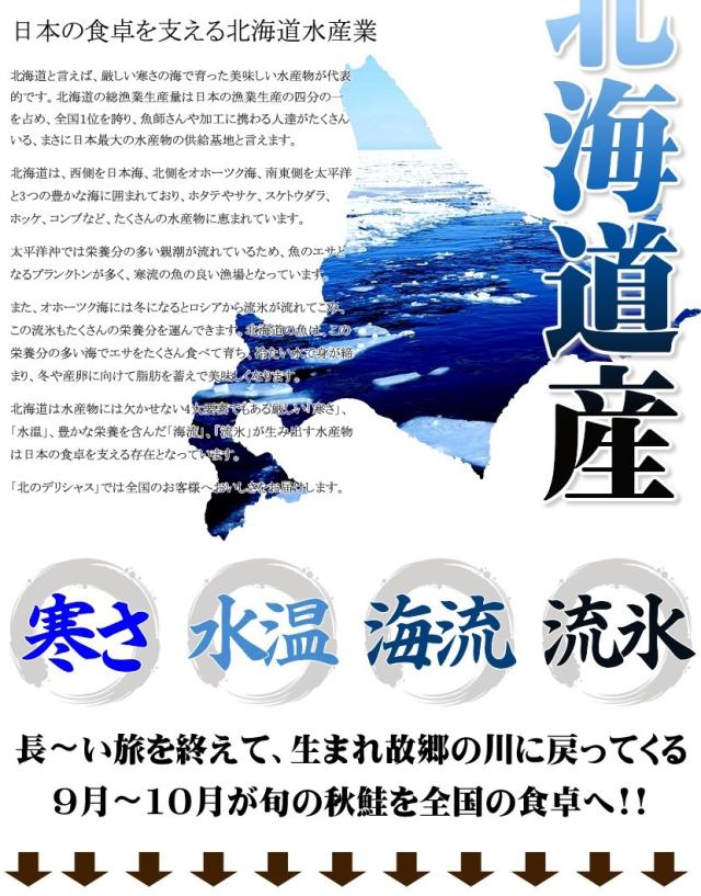 北海道 生秋鮭