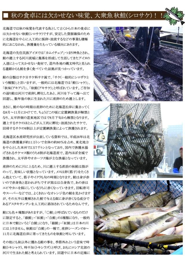 北海道 生秋鮭