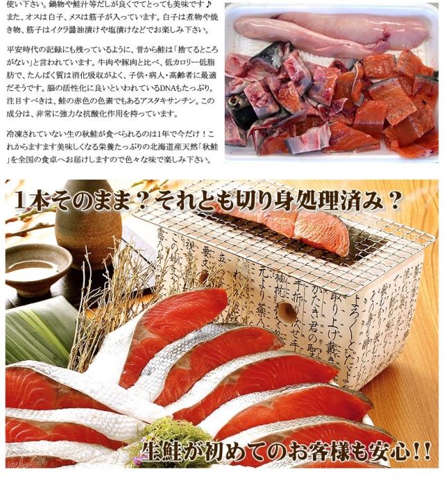 北海道 生秋鮭