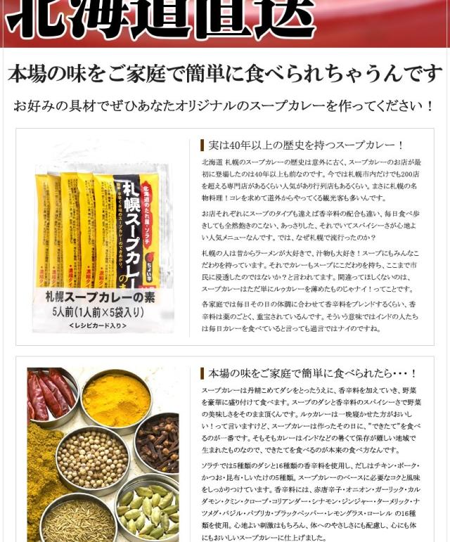 ソラチ 札幌スープカレーの素