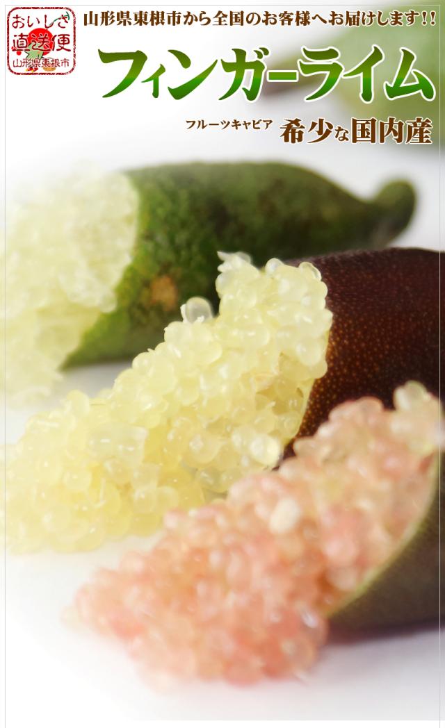 国内産 フィンガーライム