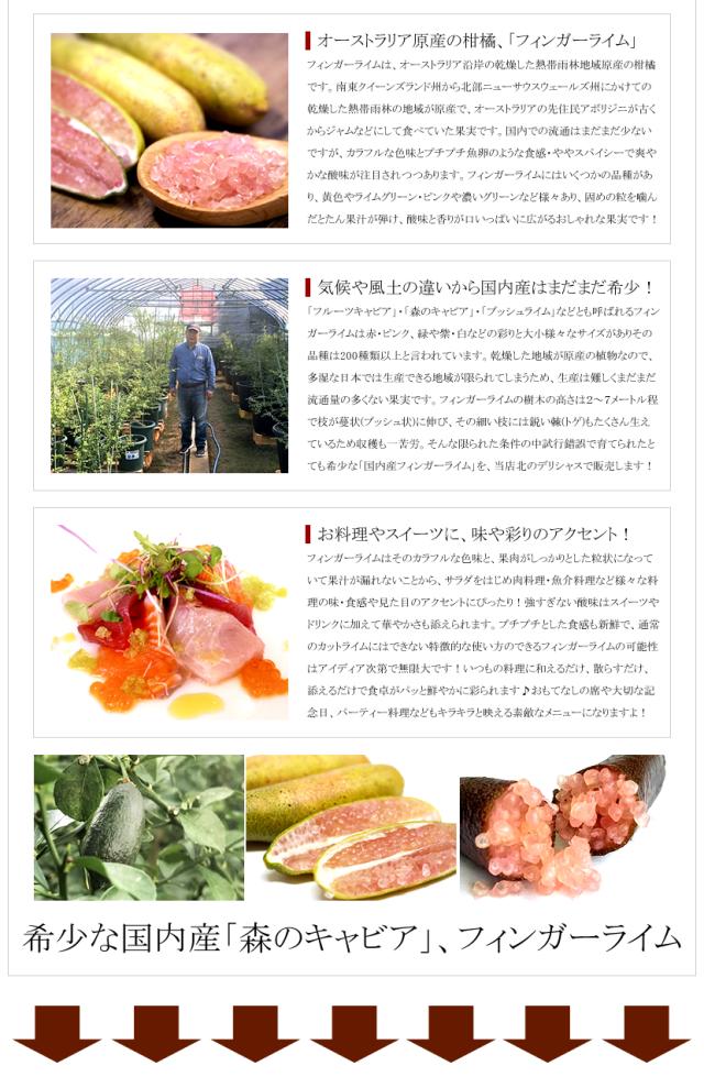 国内産 フィンガーライム