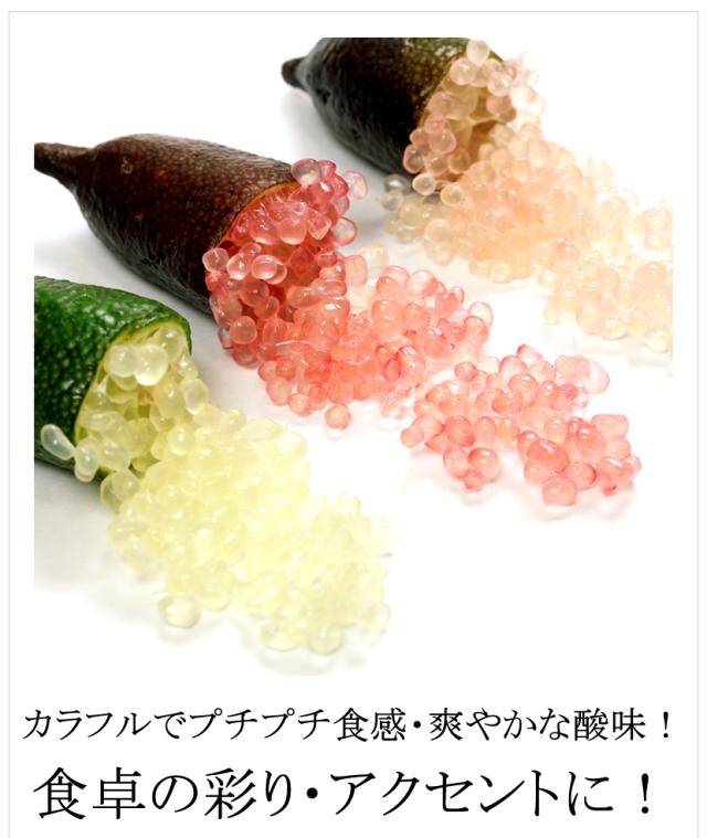 国内産 フィンガーライム