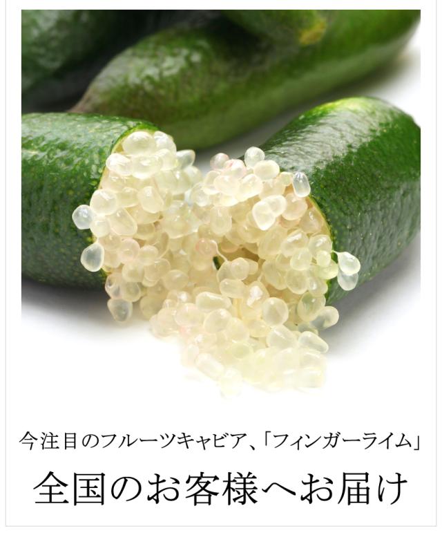 国内産 フィンガーライム