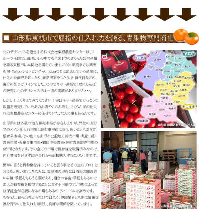 山形県産 庄内柿