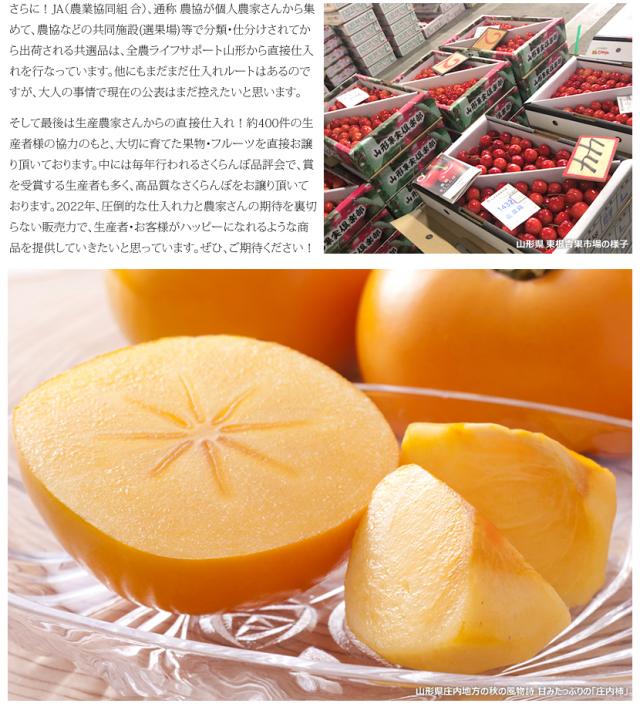 山形県産 庄内柿